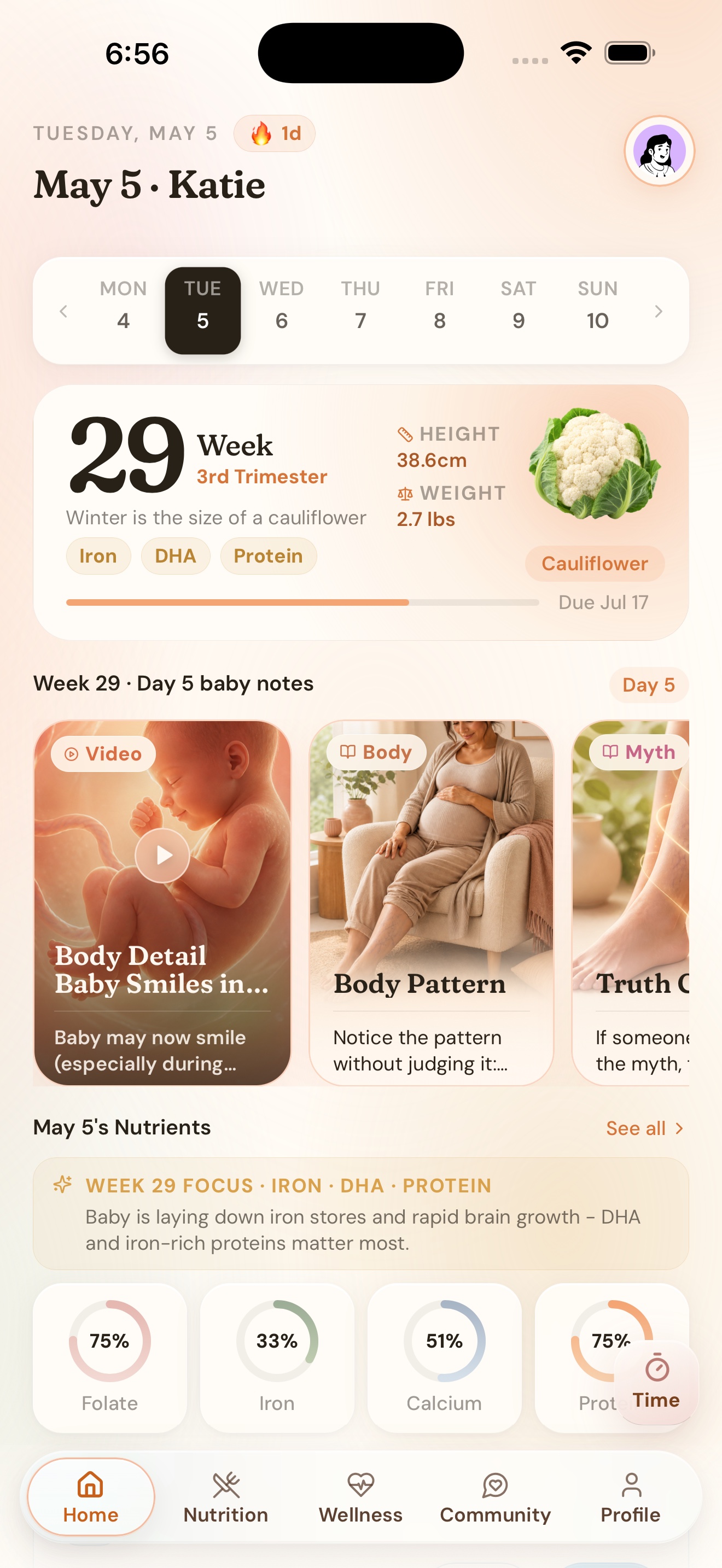 Niva iPhone home screen showing week 29 pregnancy context, baby notes, nutrients, and daily tracking.